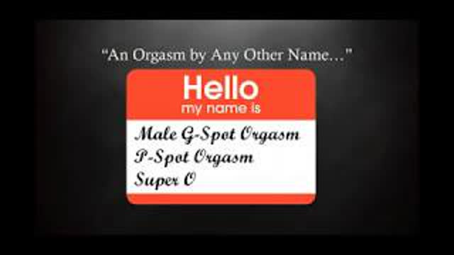 Prostate Massage 101 -  The Ins and Outs of Prostate Play