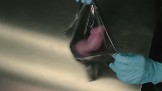 Bad Dragon Adult Toys