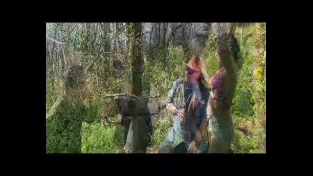 King Kong XXX parody - trailer