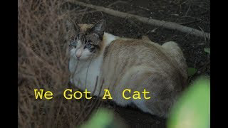 WE GOT A CAT! Plus we went bowling lol